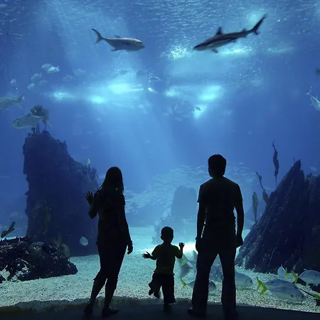 Regent Côte D'azur Air-conditioned, Pool, Garden&parking Appartement Villeneuve-Loubet