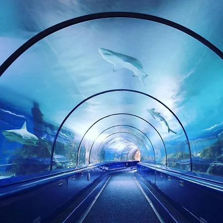 Regent Côte D'azur Air-conditioned, Pool, Garden&parking Appartement *